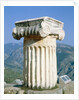 Ionian column an the Holly Street in Delphi, Greece by Anonymous