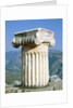 Ionian column an the Holly Street in Delphi, Greece by Anonymous