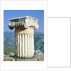 Ionian column an the Holly Street in Delphi, Greece by Anonymous