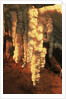 Grotto Frassari in Fabriano - Italy by Anonymous