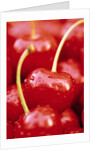 Cherrys by Anonymous