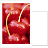 Cherrys by Anonymous