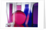 Beakers filled with liquid by Anonymous