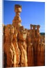 USA, Utah, Bryce Canyon by Anonymous