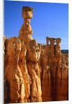USA, Utah, Bryce Canyon by Anonymous