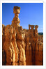 USA, Utah, Bryce Canyon by Anonymous