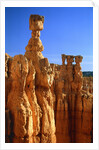 USA, Utah, Bryce Canyon by Anonymous