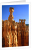USA, Utah, Bryce Canyon by Anonymous