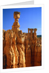 USA, Utah, Bryce Canyon by Anonymous