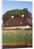 Half timbered house with reed roof by Anonymous