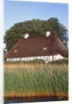 Half timbered house with reed roof by Anonymous