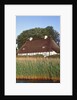 Half timbered house with reed roof by Anonymous