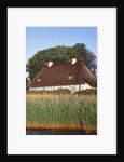 Half timbered house with reed roof by Anonymous