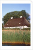 Half timbered house with reed roof by Anonymous