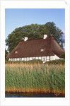 Half timbered house with reed roof by Anonymous