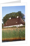 Half timbered house with reed roof by Anonymous