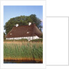 Half timbered house with reed roof by Anonymous