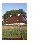 Half timbered house with reed roof by Anonymous