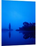 Landscape around a lake in the dawn by Anonymous