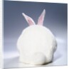 White Rabbit by Anonymous