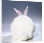 White Rabbit by Anonymous