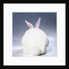 White Rabbit by Anonymous