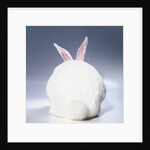 White Rabbit by Anonymous