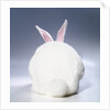 White Rabbit by Anonymous
