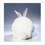 White Rabbit by Anonymous