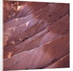 Sunrise Point, Bryce Canyon, Utah, USA by Anonymous