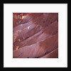Sunrise Point, Bryce Canyon, Utah, USA by Anonymous
