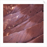 Sunrise Point, Bryce Canyon, Utah, USA by Anonymous