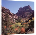 Kolob Canyon, Zion National Park, Utah, USA by Anonymous