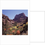 Kolob Canyon, Zion National Park, Utah, USA by Anonymous