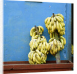 Bananas in front of blue wall, San Cristobal de las Casas, Mexico by Anonymous