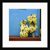 Bananas in front of blue wall, San Cristobal de las Casas, Mexico by Anonymous