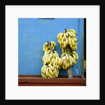 Bananas in front of blue wall, San Cristobal de las Casas, Mexico by Anonymous