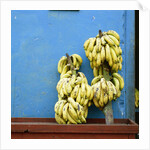 Bananas in front of blue wall, San Cristobal de las Casas, Mexico by Anonymous