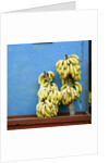 Bananas in front of blue wall, San Cristobal de las Casas, Mexico by Anonymous