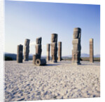 Tula de Allende, Hidalgo, Mexico by Anonymous