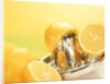 Lemons and a fruit-press by Anonymous