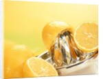Lemons and a fruit-press by Anonymous