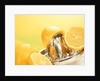 Lemons and a fruit-press by Anonymous