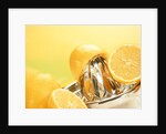 Lemons and a fruit-press by Anonymous
