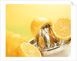 Lemons and a fruit-press by Anonymous