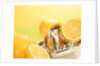 Lemons and a fruit-press by Anonymous