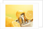 Lemons and a fruit-press by Anonymous