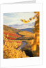 Vineyards in autumn in Esslingen/Neckar by Anonymous
