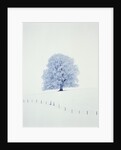 Tree in winter by Anonymous
