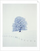 Tree in winter by Anonymous